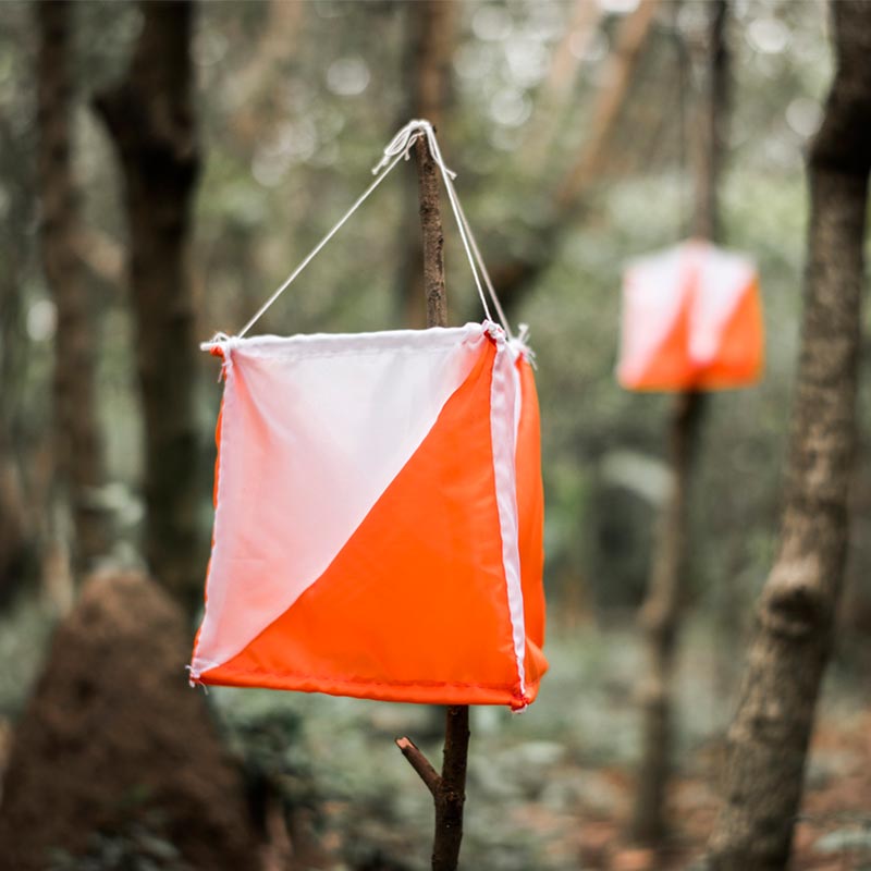 Nature Orienteering | Wild Incursions Nature Orienteering | Wild Incursions