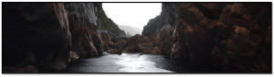 It's Only Natural 'Connection to Nature' Documentary | Wild Incursions